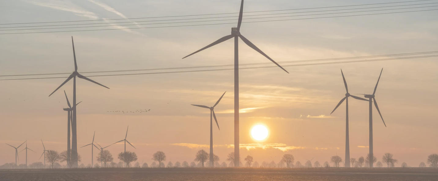 Energy and Utilities: wind turbines across a field at sunrise