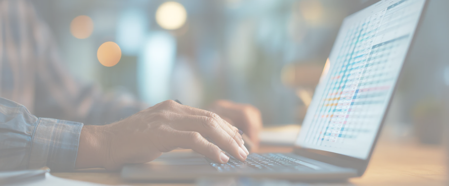 Financial Services and Banking: analyst typing on a laptop showing a financial spreadsheet