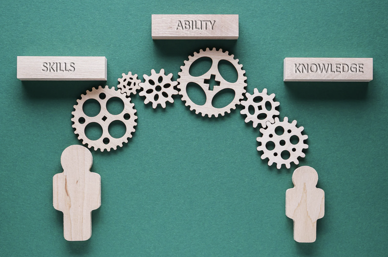 What Skills Should I Look for in a Fractional CRO? The Non-Negotiable Checklist